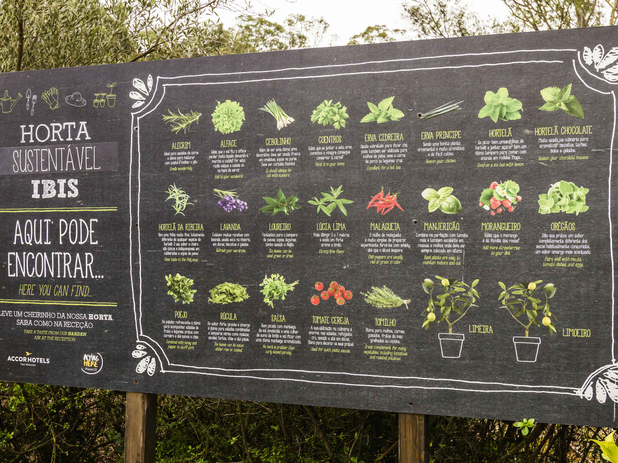 ibis Lisboa Alfragide