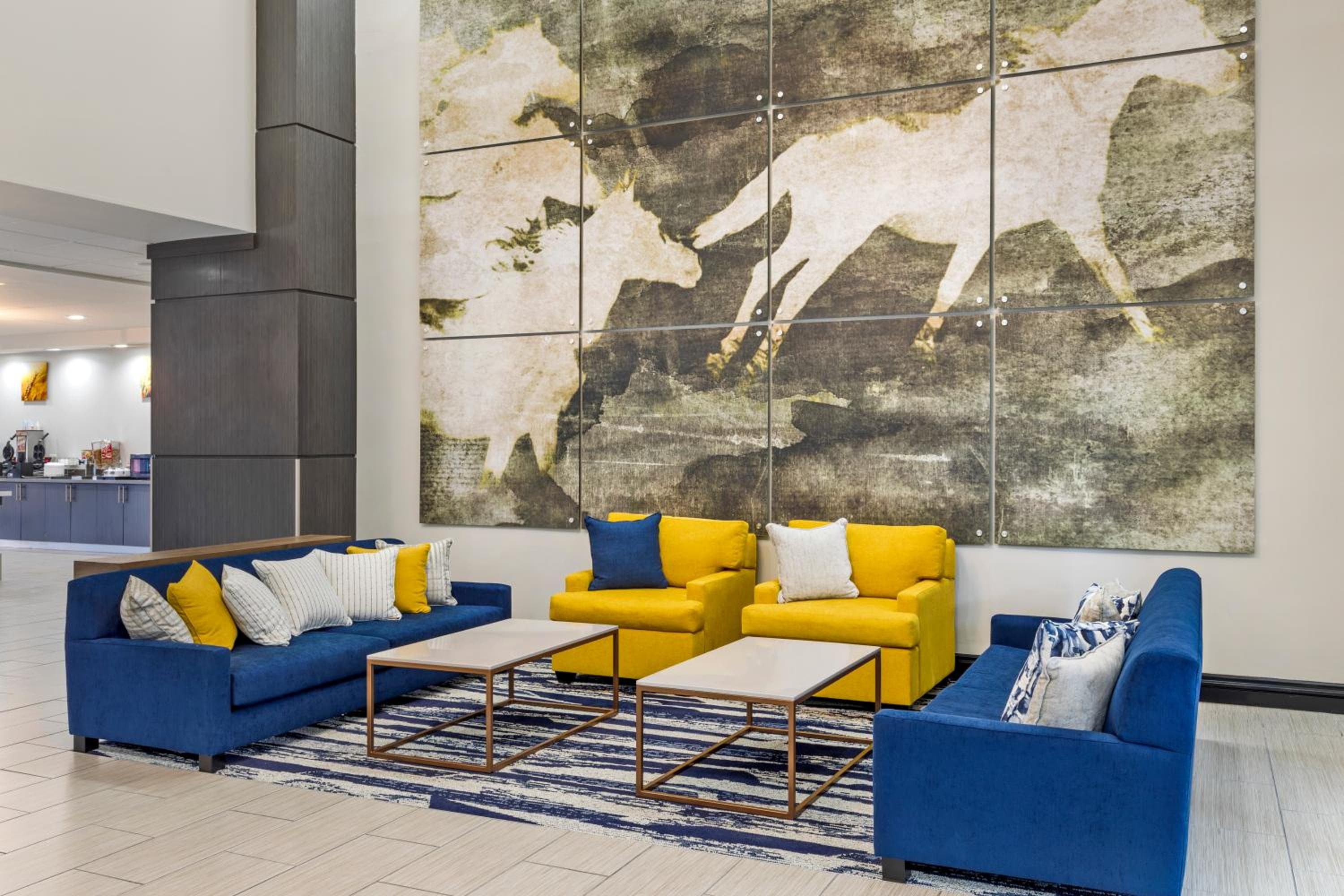 Comfort Inn & Suites Irving Las Colinas DFW